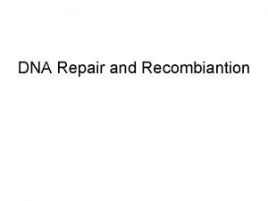 DNA Repair and Recombiantion Methyldirected mismatch repair 1