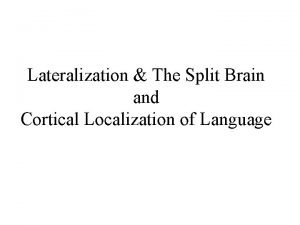 Lateralization The Split Brain and Cortical Localization of