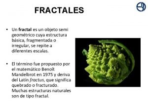 FRACTALES Un fractal es un objeto semi geomtrico