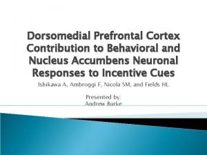 Dorsomedial Prefrontal Cortex Contribution to Behavioral and Nucleus