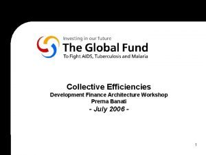 Collective Efficiencies Development Finance Architecture Workshop Prerna Banati