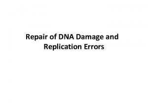 Repair of DNA Damage and Replication Errors One