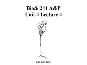 Bio 241 AP Unit 4 Lecture 4 Position