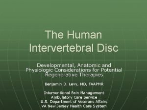 The Human Intervertebral Disc Developmental Anatomic and Physiologic