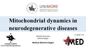 Mitochondrial dynamics in neurodegenerative diseases Michelle Guarniero Daniele