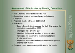 Assessment of the Indaba by Steering Committee Draft