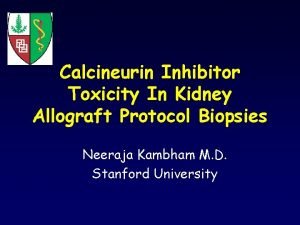 Calcineurin Inhibitor Toxicity In Kidney Allograft Protocol Biopsies