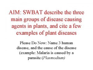 AIM SWBAT describe three main groups of disease