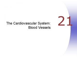 The Cardiovascular System Blood Vessels 21 Blood Vessels