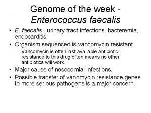 Genome of the week Enterococcus faecalis E faecalis