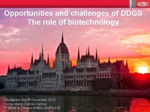 Opportunities and challenges of DDGS The role of