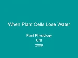 When Plant Cells Lose Water Plant Physiology UNI