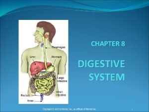Chapter 8 the digestive system