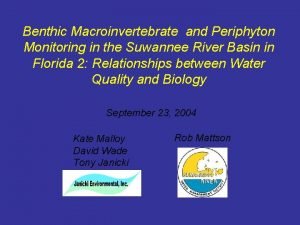 Benthic Macroinvertebrate and Periphyton Monitoring in the Suwannee