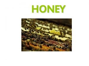 HONEY Honey in the history of Lithuania Bees