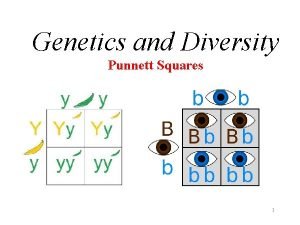 Genotypes punnett square