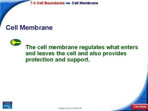 7 3 Cell Boundaries Cell Membrane The cell