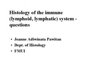Histology of the immune lymphoid lymphatic system questions