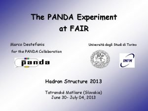 The PANDA Experiment at FAIR Marco Destefanis Universit