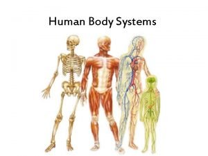 Two body systems