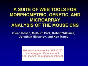 A SUITE OF WEB TOOLS FOR MORPHOMETRIC GENETIC