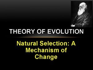 THEORY OF EVOLUTION Natural Selection A Mechanism of