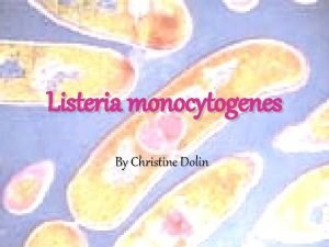Listeria monocytogenes By Christine Dolin Metabolism Aerobic All