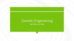 Genetic Engineering Nate Belle and Caitlyn Genetic engineering
