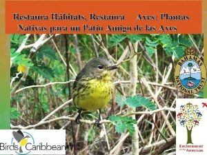 Restaura Hbitats Restaura Aves Plantas Nativas para un