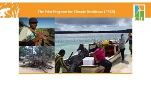 Pilot programme for climate resilience