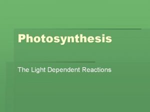 Light dependent reactions formula