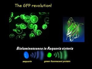 The GFP revolution Green beings Fluorescence A property