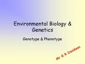 Phenotype genotype