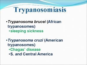 Trypanosomiasis Trypanosoma brucei African trypanosomes sleeping sickness Trypanosoma