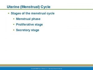 Uterine Menstrual Cycle Stages of the menstrual cycle