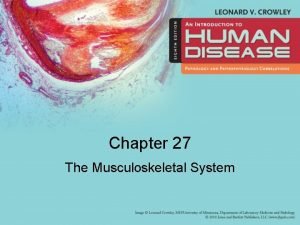 Learning objectives of skeletal system