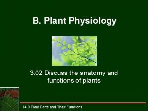 External parts of a leaf