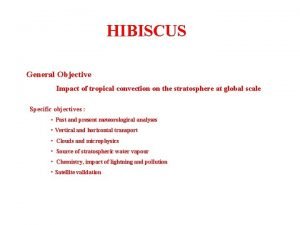HIBISCUS General Objective Impact of tropical convection on