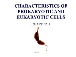 CHARACTERISTICS OF PROKARYOTIC AND EUKARYOTIC CELLS CHAPTER 4