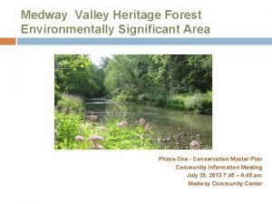 Medway valley heritage forest
