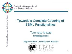 Towards a Complete Covering of SBML Functionalities Tommaso