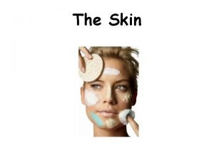 The Skin About the skin Largest organ of