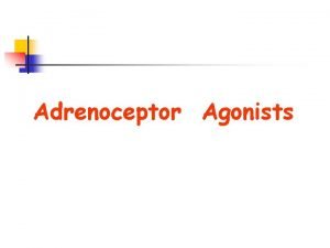 Adrenoceptor Agonists definition n n Drugs that mimic