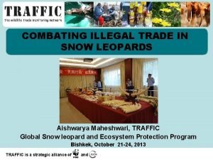 COMBATING ILLEGAL TRADE IN SNOW LEOPARDS Aishwarya Maheshwari