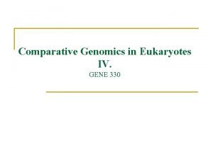 Comparative Genomics in Eukaryotes IV GENE 330 CHROMOSOMES