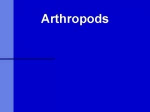 Arthropods What is Entomology The study of insects