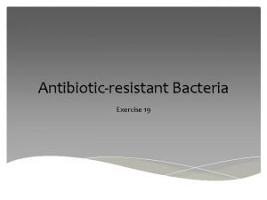 Antibioticresistant Bacteria Exercise 19 AntibioticResistant Bacteria Life before