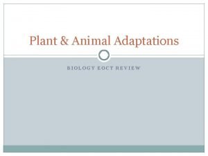 Plant Animal Adaptations BIOLOGY EOCT REVIEW Adaptations in