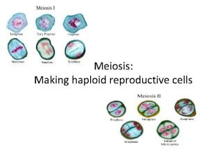 Meiosis Making haploid reproductive cells Goal of Meiosis
