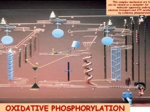 This complex mechanical art fo can be viewed